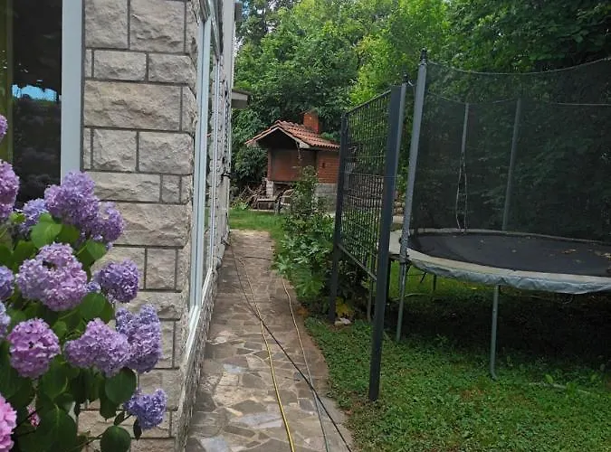 Jane's Garden * Матульи