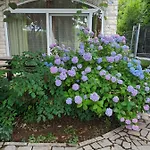 شقة Jane's Garden *