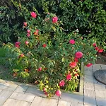 شقة Jane's Garden