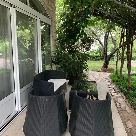 Jane's Garden * ماتولي