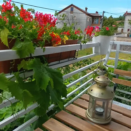 Jane's Garden *