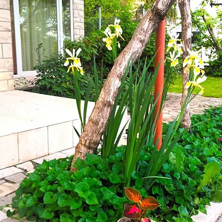 Jane's Garden