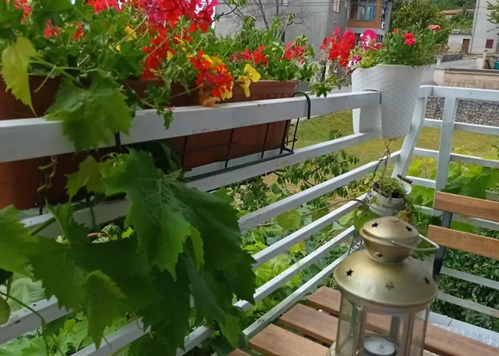Jane's Garden *